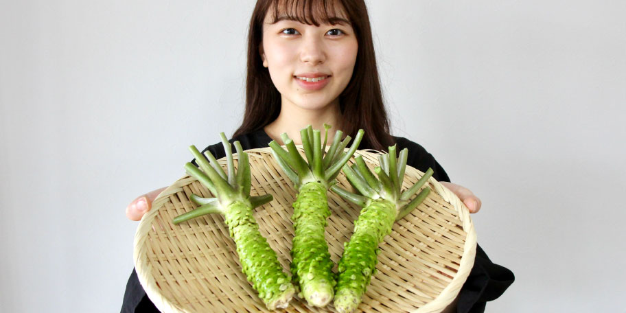 大垣の地下水で育つ真妻わさびを味わう