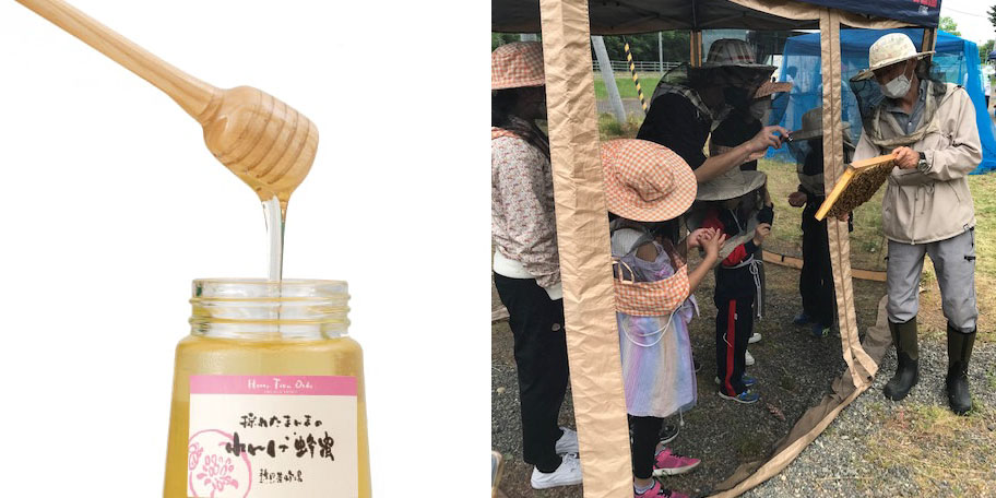蜂と旅する養蜂家に学ぶ「ミツバチ」と「はちみつ」